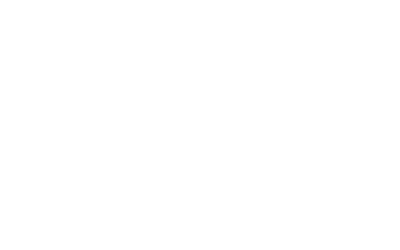 dc2021_megagen
