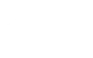 Straumann